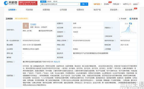 电商新战局 行业第四极争夺战中的文娱跨界突围